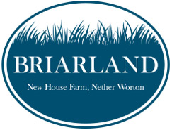 Briarland